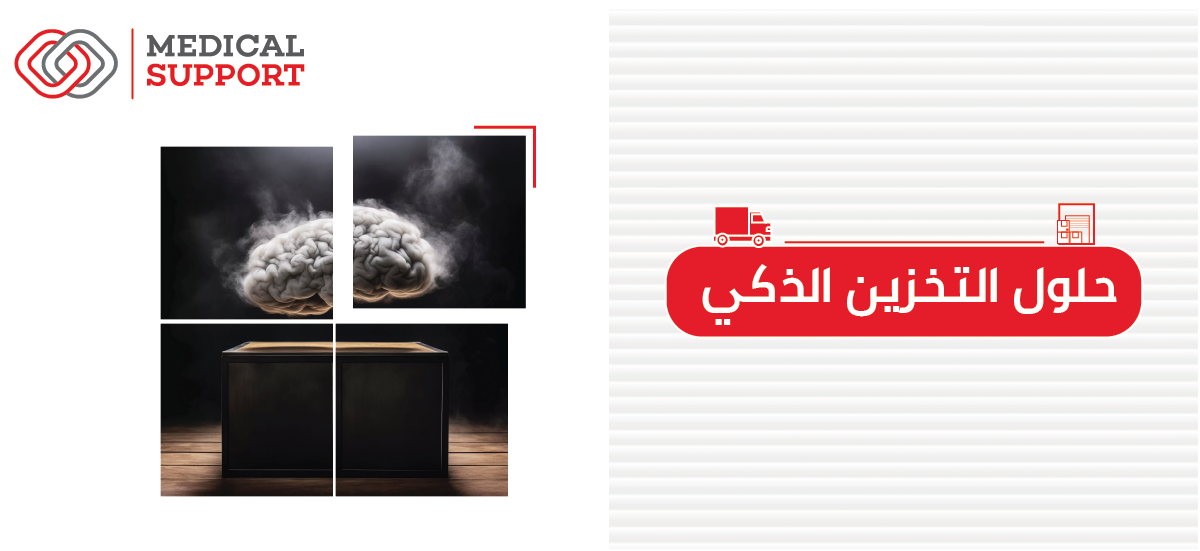 a collage of images of a brain